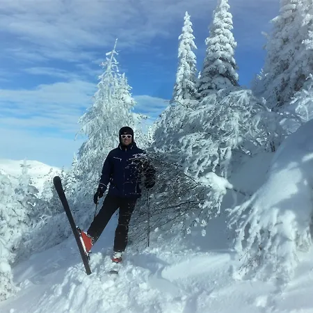 Posauner Dorfgastein