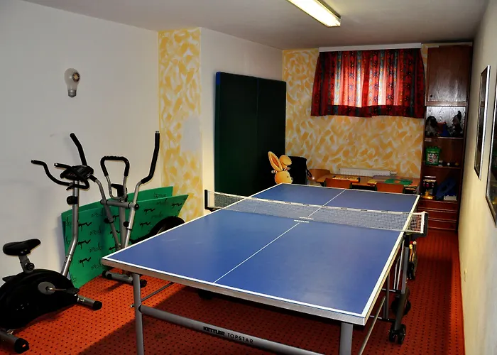 ゲストハウス ペンション ポザウナー 3*