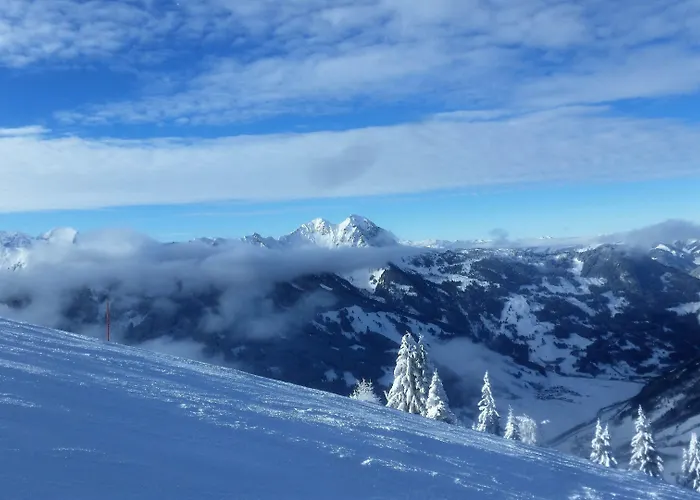 ゲストハウス ペンション ポザウナー 3*