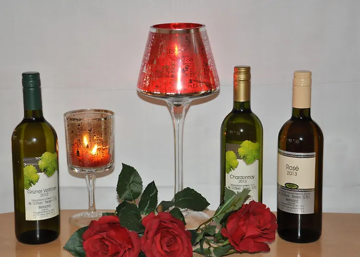 ゲストハウス ペンション ポザウナー 3*